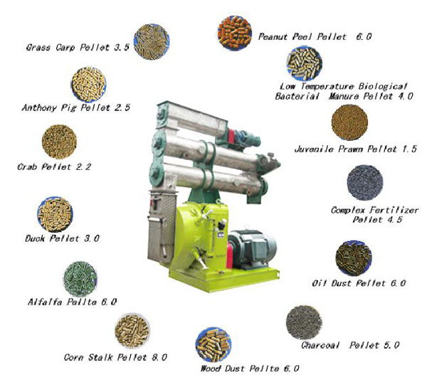 A Guide of Feed Pellet Mill