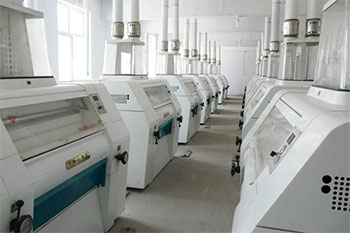 milling system of 250tpd wheat flour mill 