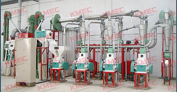 30TPD maize flour mill plant 