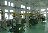 Edible Oil Refining