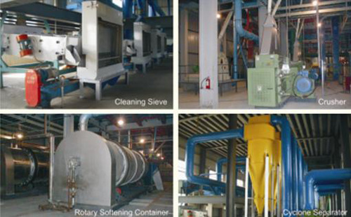 Seed Processing Machinery