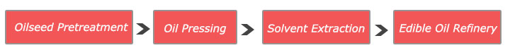 edible oil production process steps