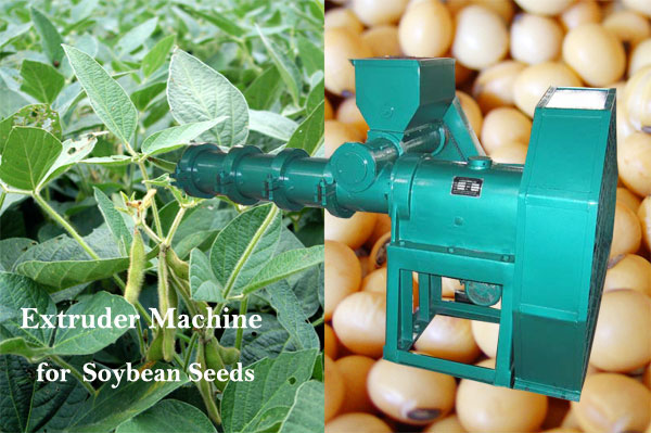 extrusion machine for soybean seeds