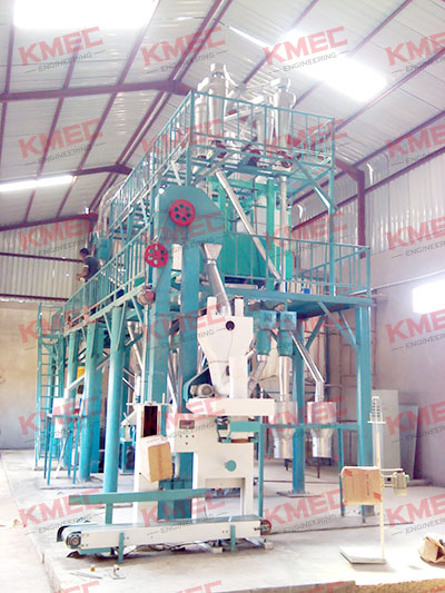 finished maize flour mill 50tpd