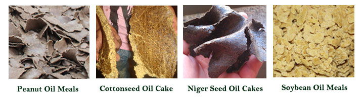 oil meals and oil cakes for different vegtable seeds and nuts