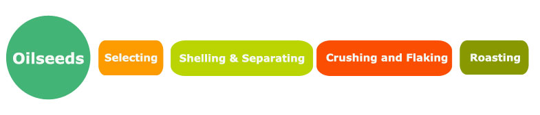 oilseed pretreatment process flow cahrt