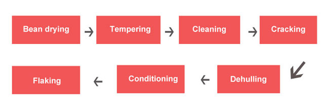 soybean seed pretreatment process before extracting