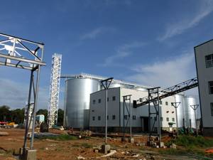 Oil Processing Machinery of Oil Extraction Plant