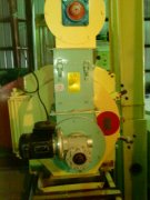 wood pellet mill project in US