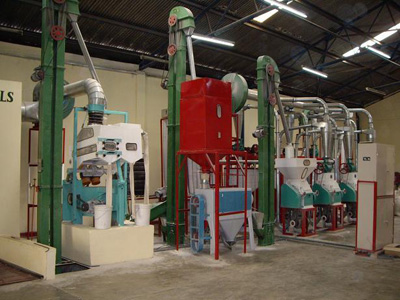 10-15T/D corn mill machines plant