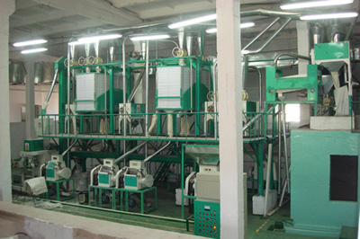 20T/D maize milling machines workshop