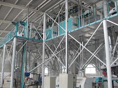 100T/D maize milling machine plant